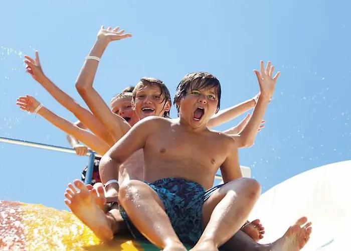 リゾート Star シダ